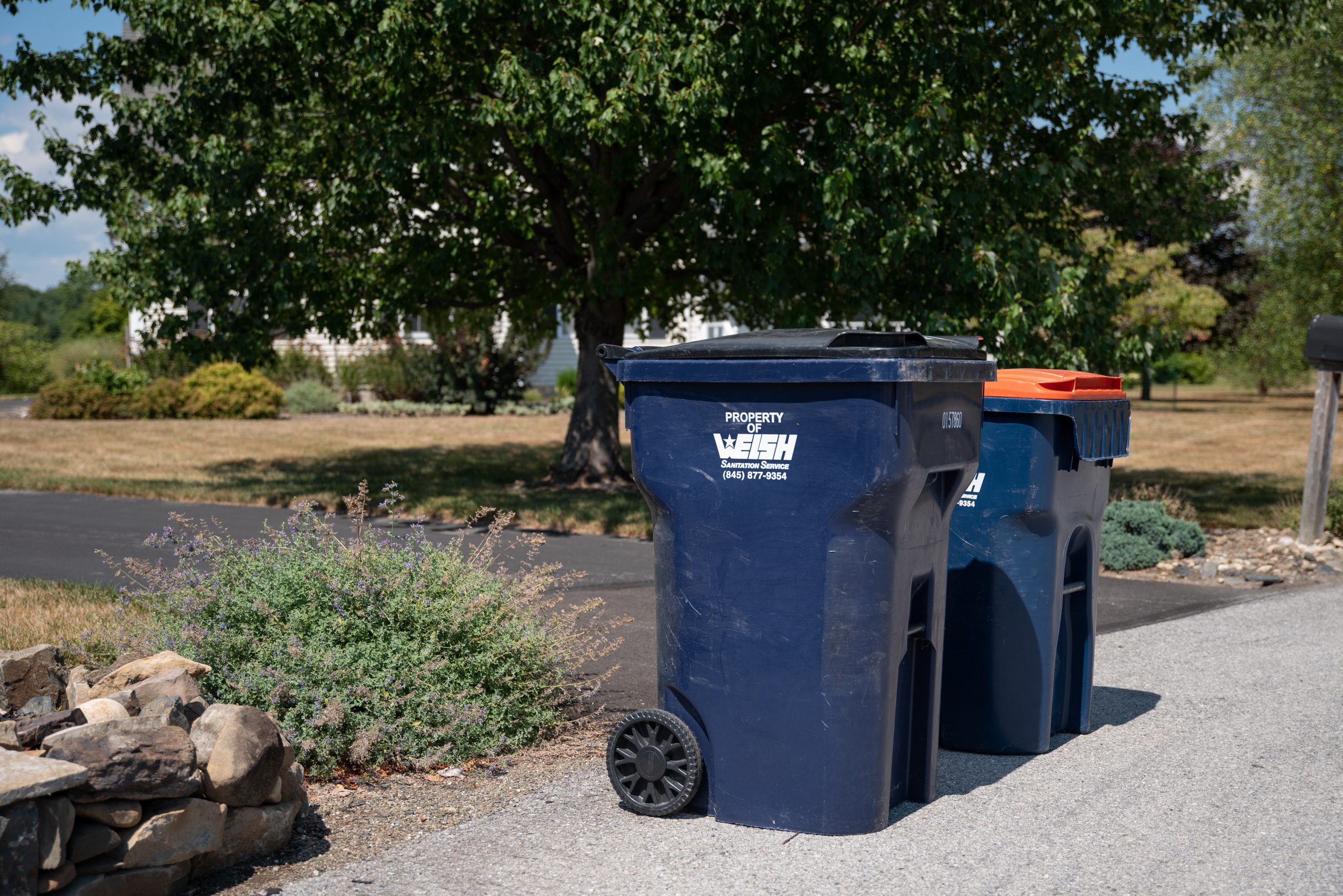 Blue residential waste garbage cans in neighborhood.